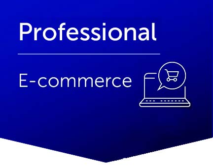 E-commerce - Professional Plan